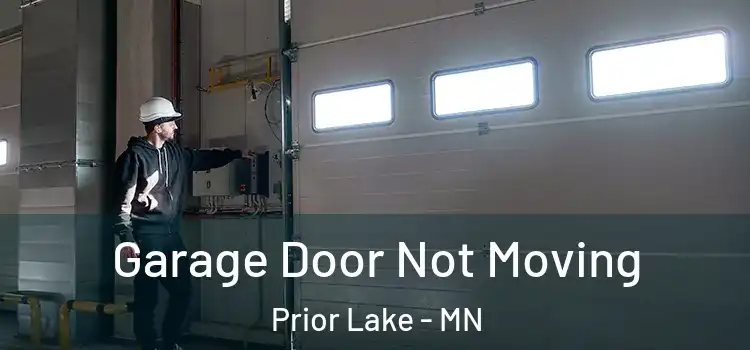  Garage Door Not Moving Prior Lake - MN
