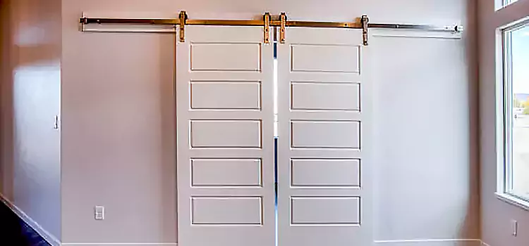 Glass Barn Door with Installation Hardware Kit Prior Lake