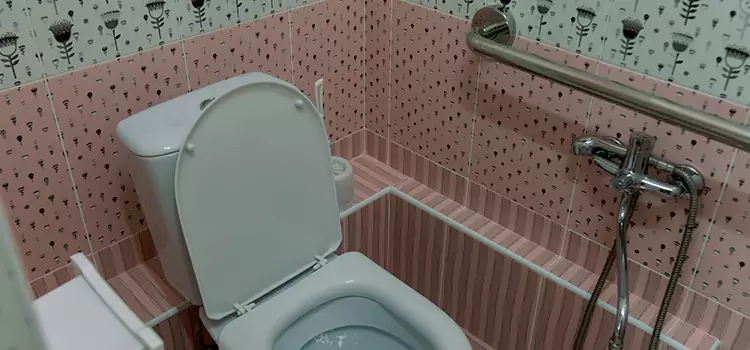 Meeting Diverse Needs With Accessible Restroom Solutions in Prior Lake, MN