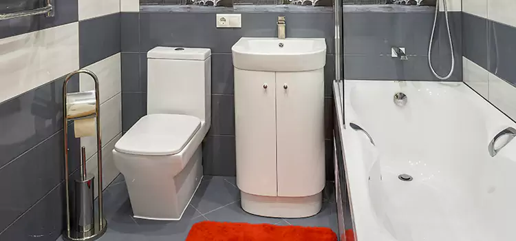 Hansgrohe Shaving Mirror Prior Lake